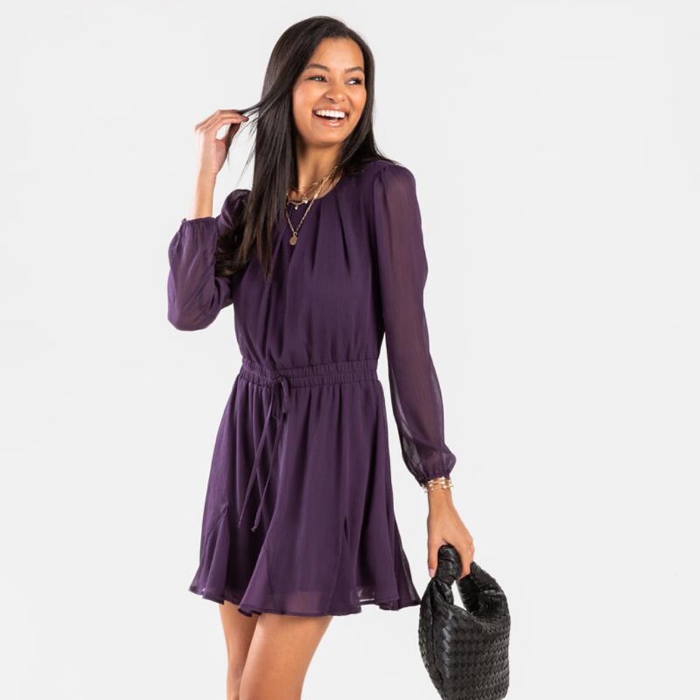 Francescas Willah Sheer Godet Dress Purple Size XS